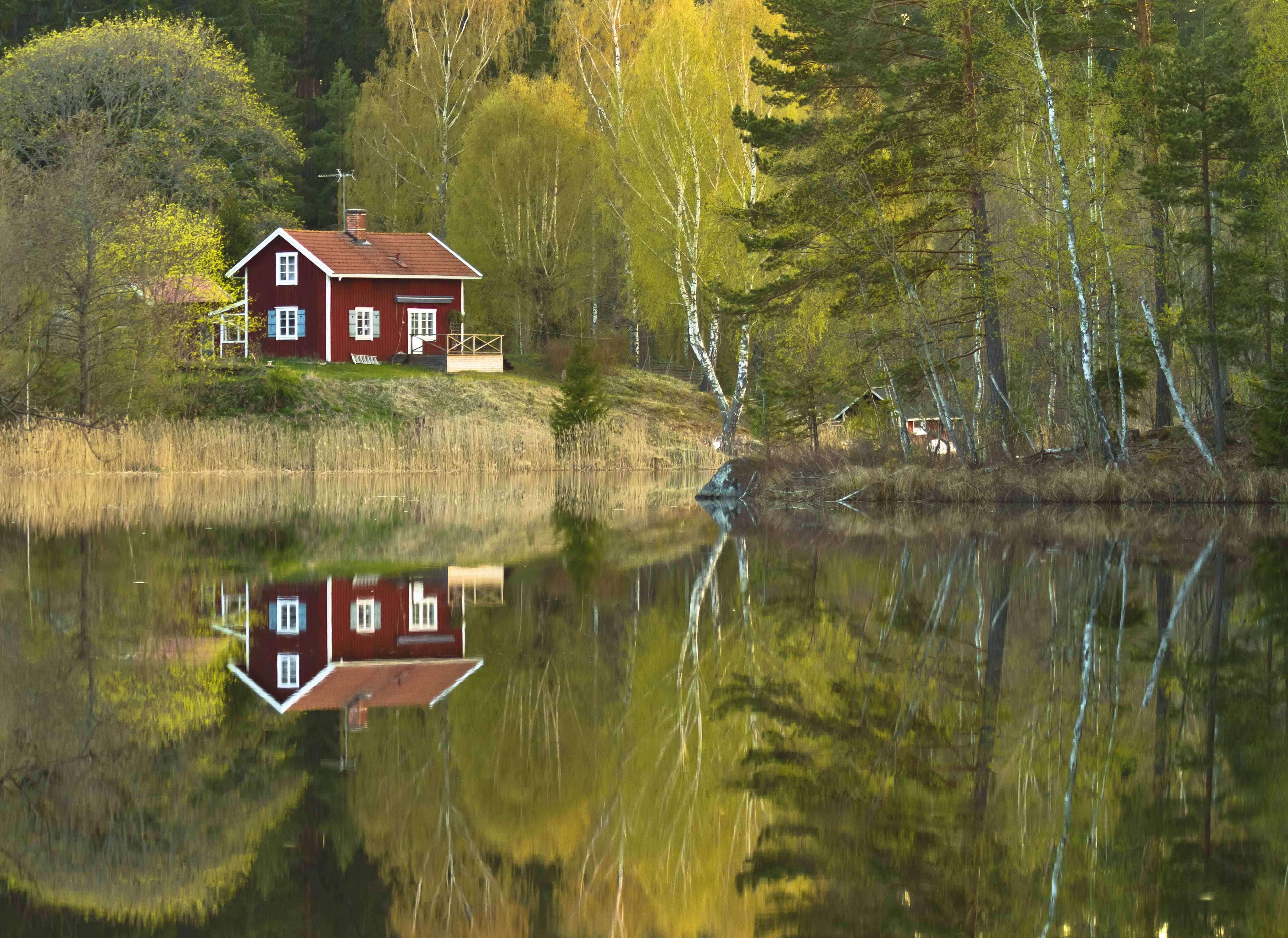 Förhandsvisning av bild