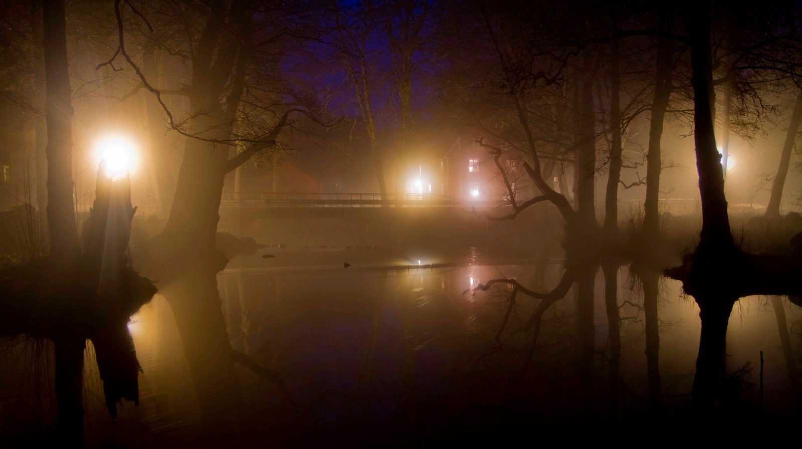 Förhandsvisning av bild