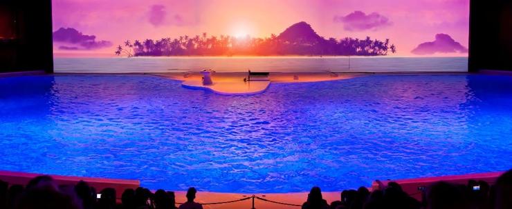 Förhandsvisning av bild